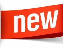 Hujan Buatan Perdana New Delhi: Solusi Ajaib atau Sekadar Angin Lalu?