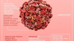 jangan asal pilih spatula dapur ini diam diam bisa picu kanker gangguan hormon portal berita terbaru