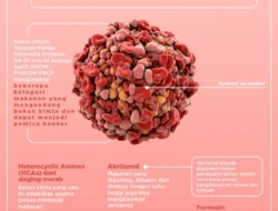 Jangan Asal Pilih! Spatula Dapur Ini Diam-diam Bisa Picu Kanker & Gangguan Hormon