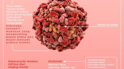 Jangan Asal Pilih! Spatula Dapur Ini Diam-diam Bisa Picu Kanker & Gangguan Hormon