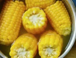 Jangan Dibuang! Air Rebusan Jagung Punya 7 Manfaat Tak Terduga Ini, Bikin Tubuh Sehat Luar Dalam!