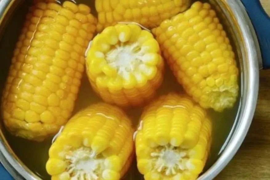 jangan dibuang air rebusan jagung punya 7 manfaat tak terduga ini bikin tubuh sehat luar dalam portal berita terbaru