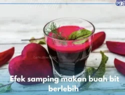 Jangan Kaget! Ini 6 Efek Samping Makan Buah Bit Mentah yang Wajib Kamu Tahu, Salah Satunya Bisa Bikin Ginjal Bermasalah!