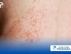 Jangan Panik! Bintik Merah di Penis: Ini 10 Penyebabnya dari Ringan sampai Serius yang Wajib Kamu Tahu!