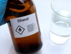 Jangan Panik! Toyota Pastikan Mobilmu Siap Minum Bensin Etanol E10 di 2027