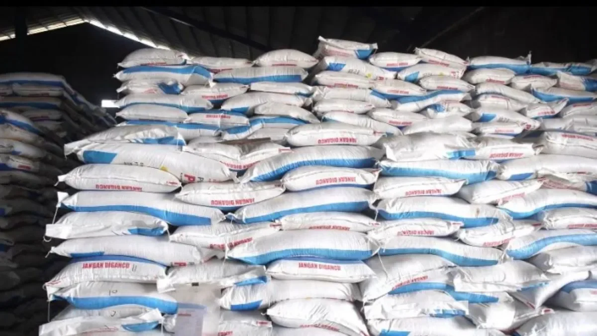 kebijakan prabowo bikin petani sumringah pupuk anjlok 20 harga gabah meroket ini dampak nyatanya portal berita terbaru