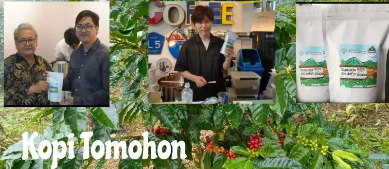 kopi tomohon mendunia dari lahan 10x12 meter kini jadi incaran turis asing dan diekspor portal berita terbaru