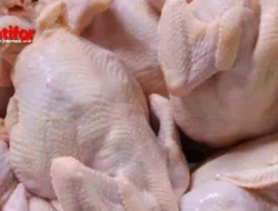 Kulkas Mati Mendadak? Jangan Panik! Daging Ayam Tetap Segar Berhari-hari Tanpa Kulkas, Ini Trik Ampuhnya!