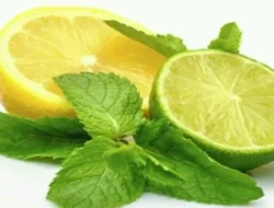 Lemon atau Jeruk Nipis? Jangan Kaget, Keduanya Punya Manfaat Tak Terduga yang Bikin Kamu Mikir Dua Kali!