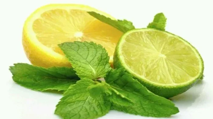 lemon atau jeruk nipis jangan kaget keduanya punya manfaat tak terduga yang bikin kamu mikir dua kali portal berita terbaru