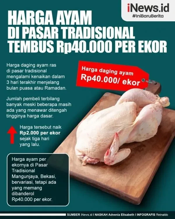 medan geger harga ayam potong meroket tembus rp40 ribu dompet warga terancam menjerit portal berita terbaru