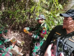 Mentan Amran Sulaiman Murka! Beras Ilegal Jalur Tikus Ancam Petani & Swasembada Pangan