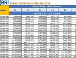 Menteri Maman ‘Geruduk’ BRI: Ada Apa dengan KUR Rp100 Juta yang Masih Diminta Jaminan?