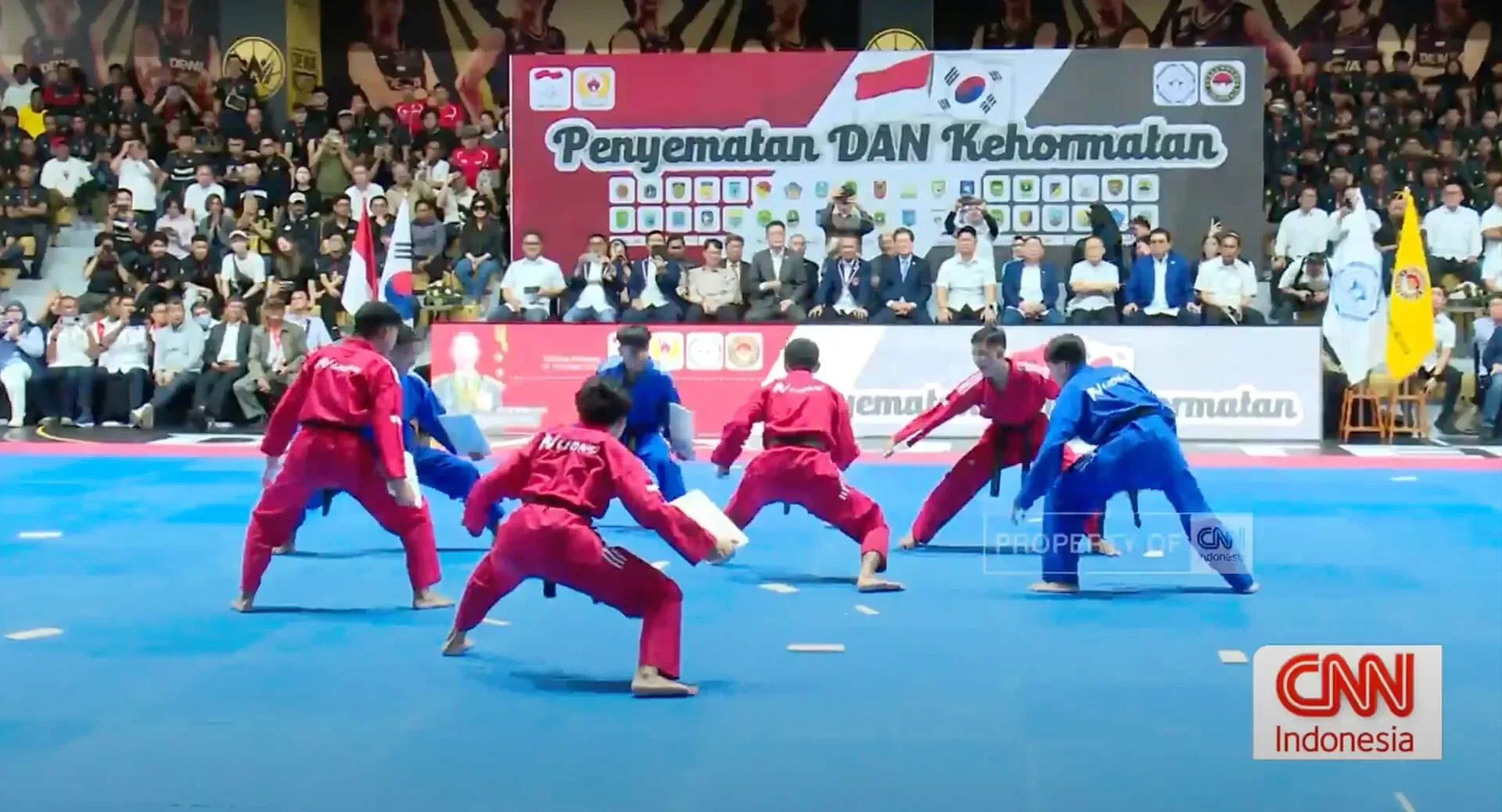 mimpi merah putih di gor ciracas ribuan atlet taekwondo siap ukir sejarah di panggung dunia portal berita terbaru
