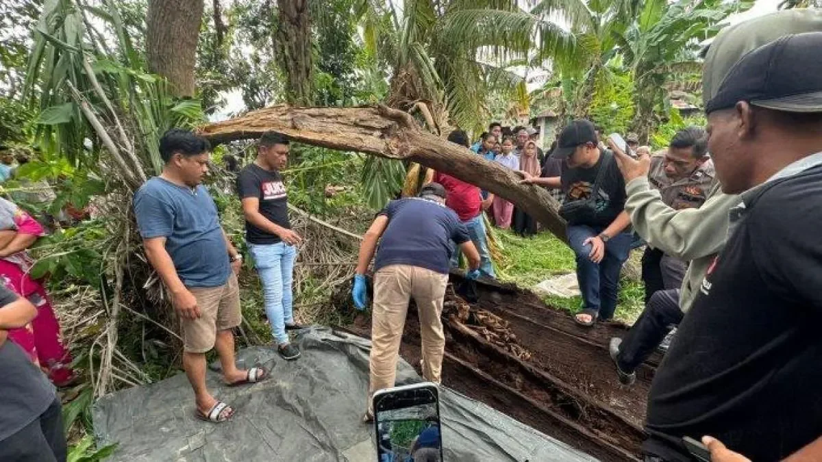 misteri kerangka kwitang terkuak kronologi dramatis pencarian farhan reno yang berakhir tragis portal berita terbaru