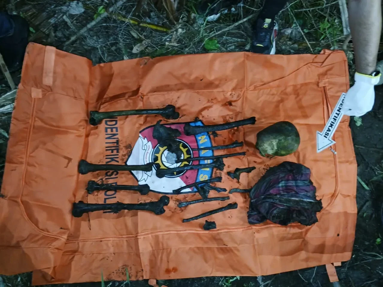 misteri kerangka kwitang terpecahkan identitas dua korban kerusuhan 2025 akhirnya dikonfirmasi portal berita terbaru