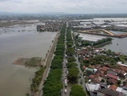 Natal Kelabu Para Koruptor! Bongbong Marcos Janji Jebloskan ke Penjara Akhir Tahun Ini