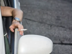 Ngeri! Bawa Hewan Peliharaan di Mobil Inggris Sembarangan, Denda Rp109 Juta & Lisensi Terancam!