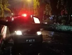 Ngeri! Lexus Remuk Ditimpa Pohon di Pondok Indah, Pengemudi Tewas Tragis: Bahaya Cuaca Ekstrem yang Wajib Kamu Tahu!