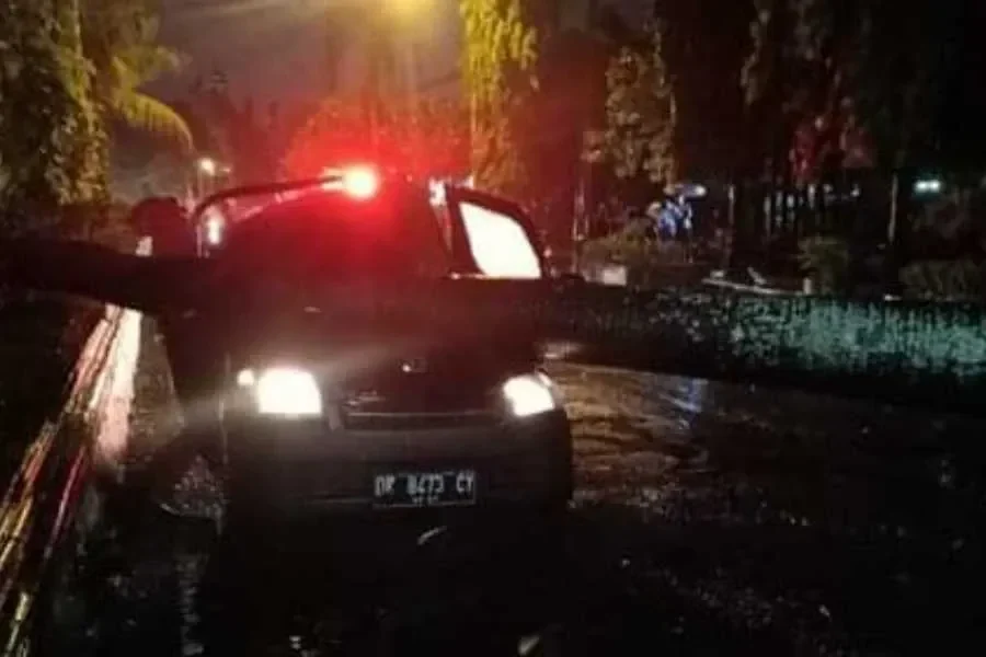 ngeri lexus remuk ditimpa pohon di pondok indah pengemudi tewas tragis bahaya cuaca ekstrem yang wajib kamu tahu portal berita terbaru