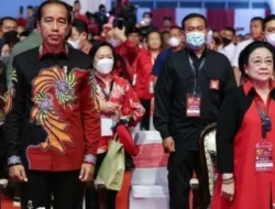 Projo Ganti Logo, Siluet Jokowi Hilang! Ini Makna Baru & Arah Dukungan Prabowo