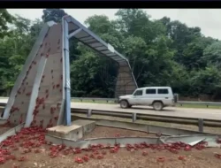Pulau Ini Berubah Merah! Fenomena Migrasi Kepiting Terbesar di Dunia yang Bikin Melongo