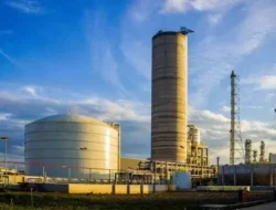 Pupuk Indonesia Gemparkan Asia Tenggara! Masuk Fortune SEA 500, CEO Terbaik, dan Inovasi Ini Bikin Petani Sejahtera