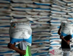 Pupuk Subsidi Makin Murah, Petani Sumbawa Siap Panen Raya! Ini Jurus Jitu Pupuk Indonesia