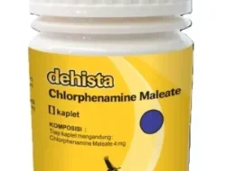 Rahasia Dapur! 6 Tanaman Herbal Ajaib Ini Bikin Alergi Langsung Minggat