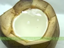 Rahasia Hidup Lebih Lama Ada di Dapurmu? Coba Ubah Cara Masakmu Jadi Begini!