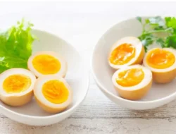 Rahasia Telur Sempurna: Kenapa Telur Kukus Jauh Lebih Unggul dari Telur Rebus Biasa dan Wajib Kamu Coba!