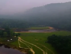 Revolusi Hijau Daihatsu: Pabrik Kyoto Pangkas Emisi CO2 42%, Ini Rahasianya!