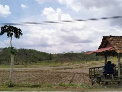 Sengketa Tanah Jusuf Kalla Bikin Geram! Menteri ATR Bongkar ‘Hantu’ Puluhan Tahun, Libatkan Lippo Group?