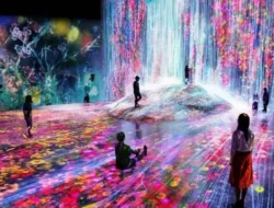 Sensasi Baru di Kyoto! teamLab Biovortex: Museum Digital Terbesar Jepang yang Akan Mengubah Cara Pandangmu.
