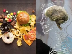 Sering Kamu Santap? 2 Makanan Favorit Ini Diam-diam Merusak Otakmu!