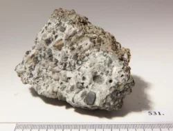 Sosok Legendaris The Ning King, Pendiri Alam Sutera, Berpulang: Ini Jejak Bisnisnya yang Mengguncang Indonesia