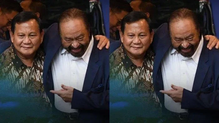 surya paloh bertemu menhan sjafrie pesan untuk prabowo nasdem ungkap fakta mengejutkan portal berita terbaru