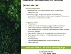 Terbongkar! Modus Tambang Liar Tanpa Izin Hutan Bikin Rugi Triliunan, Pemerintah Siap Sikat Habis!