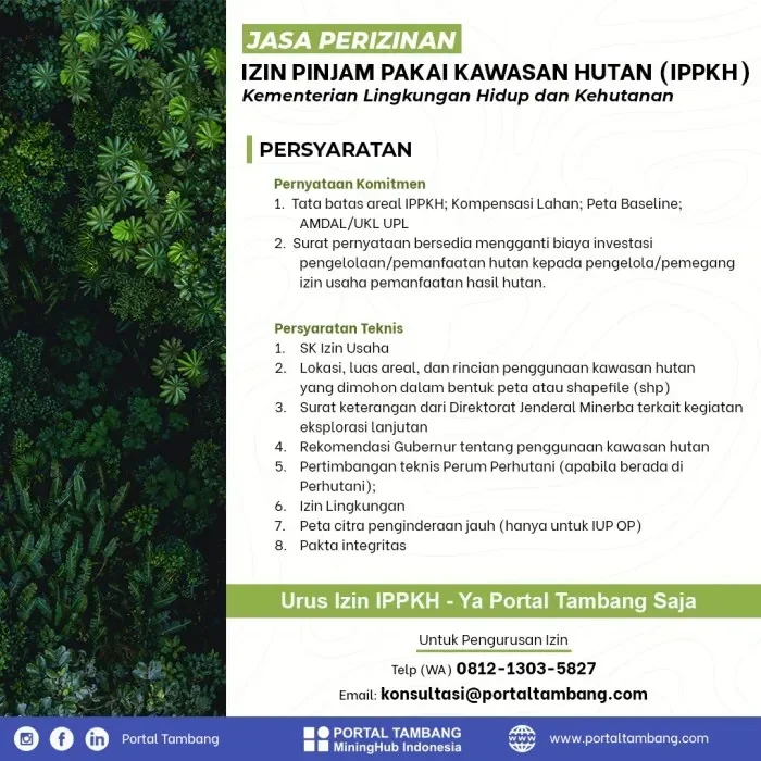 terbongkar modus tambang liar tanpa izin hutan bikin rugi triliunan pemerintah siap sikat habis portal berita terbaru