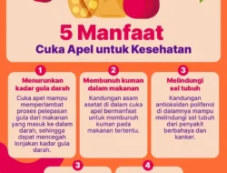 Terungkap! Cuma Modal Cuka Apel, 4 Penyakit Ini Bisa Diatasi. Kok Bisa?