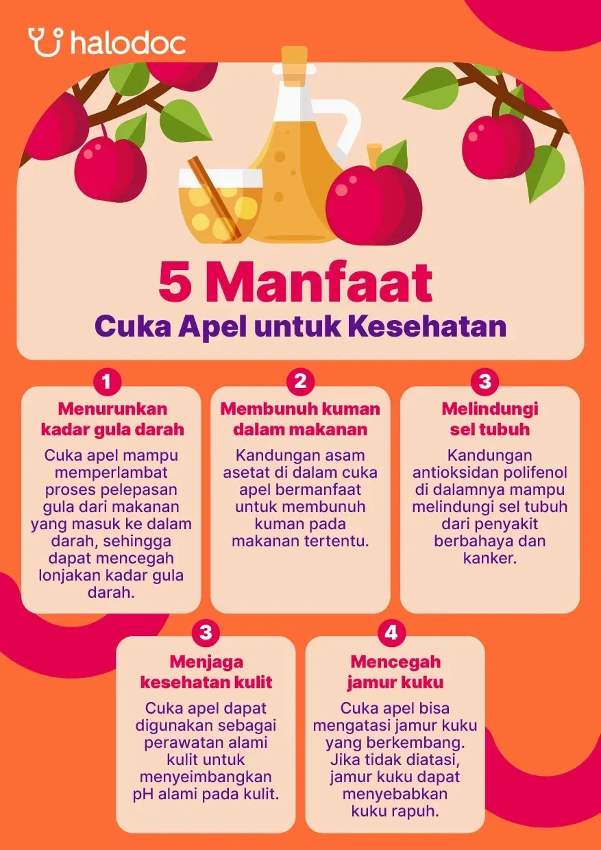 terungkap cuma modal cuka apel 4 penyakit ini bisa diatasi kok bisa portal berita terbaru