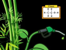 Terungkap! Indonesia Punya Peluang Emas Kembangkan Etanol Tanpa Korbankan Pangan, Kuncinya Ada di Sini!