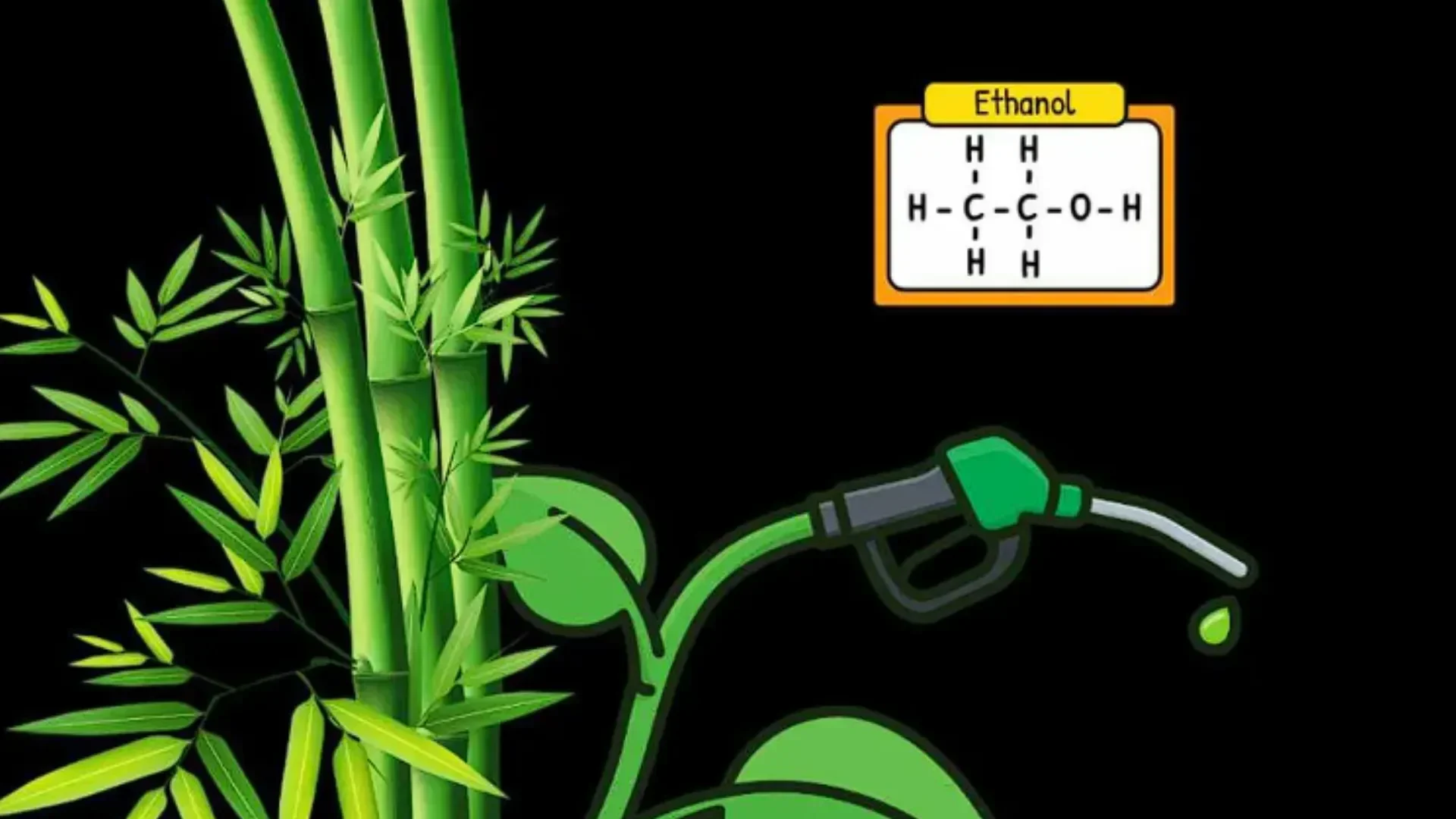 terungkap indonesia punya peluang emas kembangkan etanol tanpa korbankan pangan kuncinya ada di sini portal berita terbaru