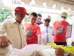 Terungkap! Kebijakan Pangan Prabowo Bikin Petani Senyum Lebar, Ini Buktinya!