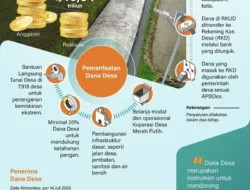 Terungkap! Rp40 Triliun Dana Desa Tiap Tahun Digelontorkan untuk Proyek Raksasa Ini, Apa Untungnya Buat Kamu?