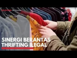 Thrifting Ilegal Bakal Dihabisi! Mendag dan Menkeu Kompak Sikat Barang Bekas Impor, Ada Apa?