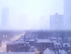 Toronto Berubah Bak Negeri Dongeng! Salju Pertama Turun, Ada Peringatan Penting yang Wajib Kamu Tahu!