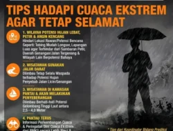 Tragis! Pengemudi Lexus Tewas Tertimpa Pohon: Waspada Bahaya Cuaca Ekstrem, Ini Tips Selamatkan Nyawa di Jalan!