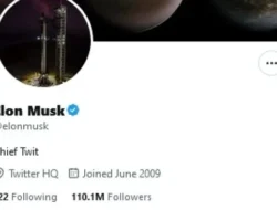 Twitter.com Resmi Pensiun! Akunmu Terblokir Setelah 10 November? Ini yang Wajib Kamu Lakukan!