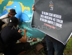 Venice Geger! Lumba-lumba Liar Muncul di Kanal, Bikin Wisatawan Terpukau Sekaligus Khawatir